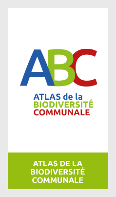 ABC