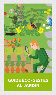 Ecogeste