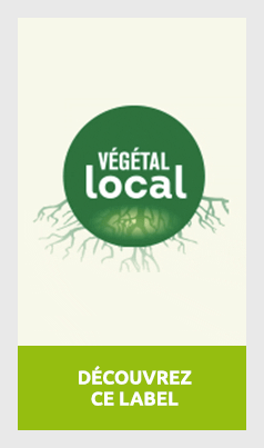 VegetalLocal