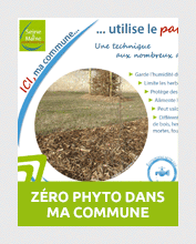 commune