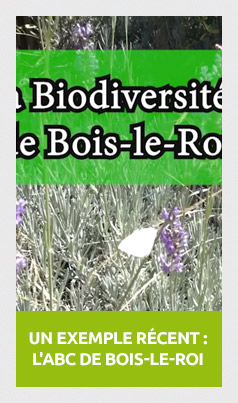 VegetalLocal
